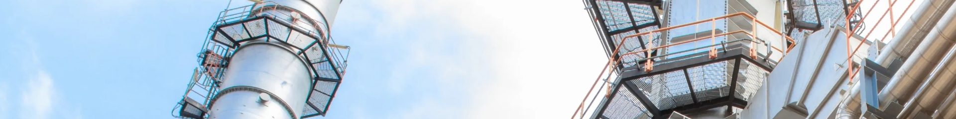 A picture of packed column taken in a column internal factory